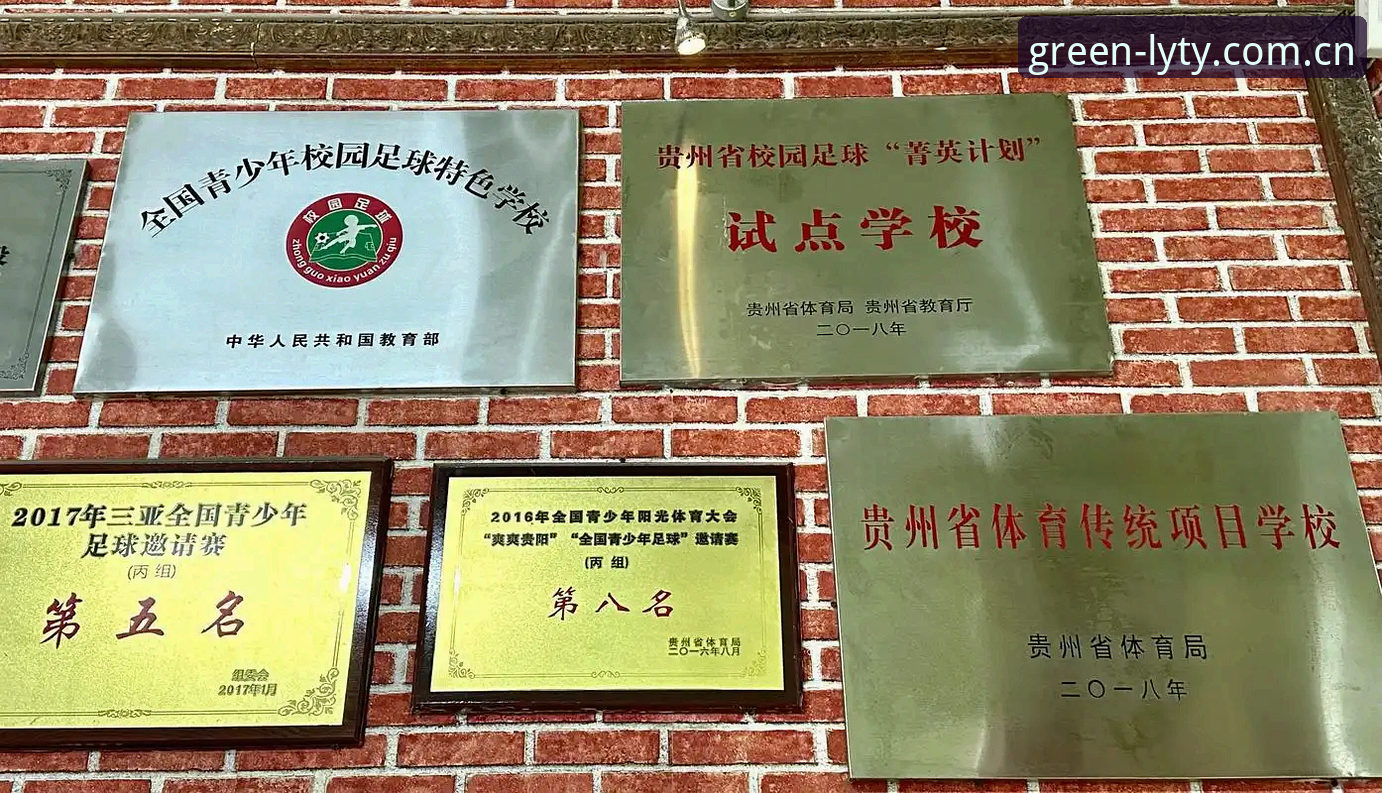 绿茵体育平台入口直达评测：安全登录、多维度深度分析与实用指南